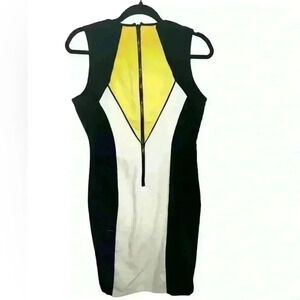 G.i.l.i Got It Love It Dress Size 10P Sleeveless Sheath Lined colorblock